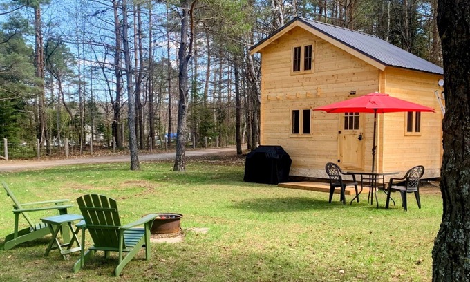 Weslemkoon Cabina | Loft Pine Cabin with Lake and Crown Land Access | Dog-Friendly