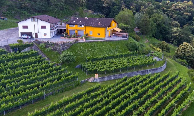 Giubiasco Apartamento | Loft Scarpa surrounded by greenery