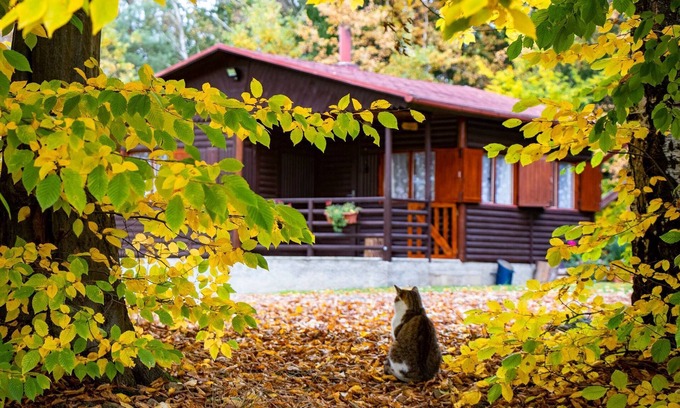 Zeliv Cabina | Log Cabin 1, capacidad para 2 + 1, excelentes vistas, mascotas, lago, vista al bosque, cama doble