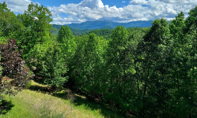 Franklin Cabina | Log Cabin belleza con impresionantes vistas de Smoky Mountain