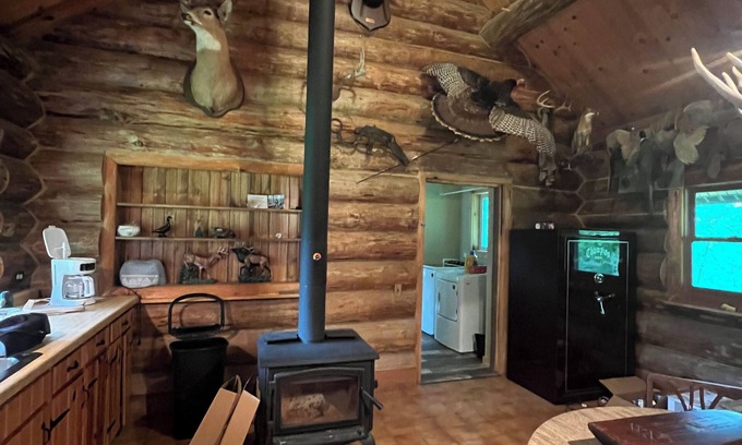Alma Cabina | Log cabin, log cabin sauna building, wildlife, orchards