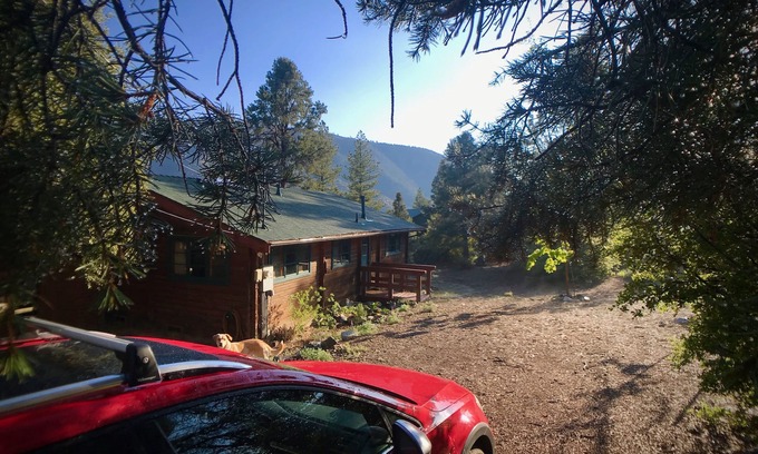 Pine Mountain Club Cabina | **¡¡NUEVO!!* Cabina rústica! Sauna, home cinema, casa del árbol y fácil acceso a la ciudad.