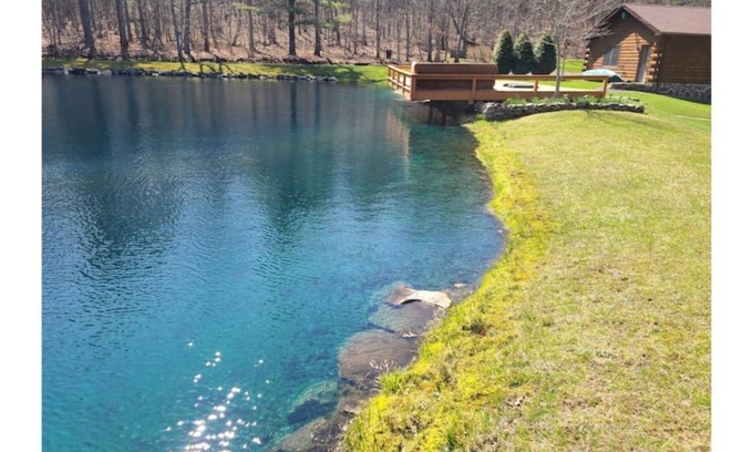 Narrowsburg Cabina | Log Cabin with Fireplace, Swimming Pond & Game Room, Close to Skiing
