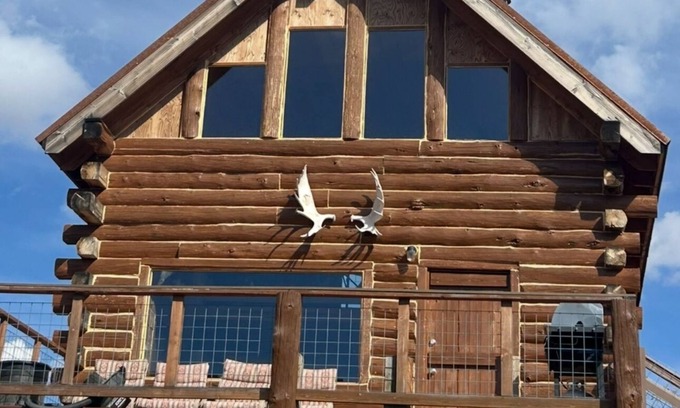 Collbran Cabina | Log cabin with views , Vega Reservoir, Collbran Colorado cabin