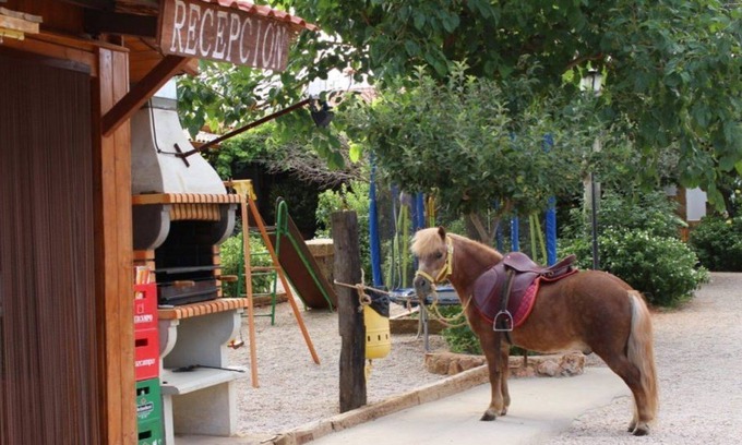 Ossa de Montiel Casa | Cabañas de Madera Los Molinos, Colgada