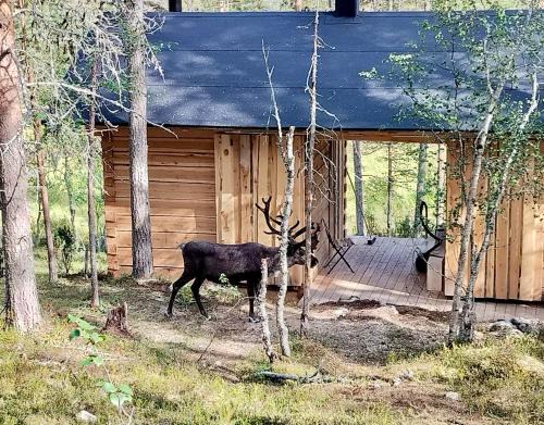 Saariselka Chalet De Esquí | Log House and New Sauna Pikariporras