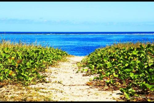 La Saline Les Bains Apartamento | Logement bord de mer