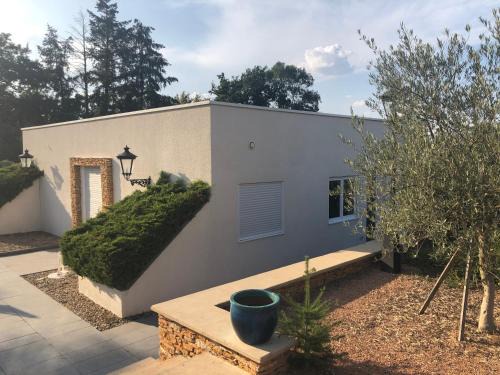 Commelle-Vernay Casa | Logement cadre Champêtre, entre ville et campagne