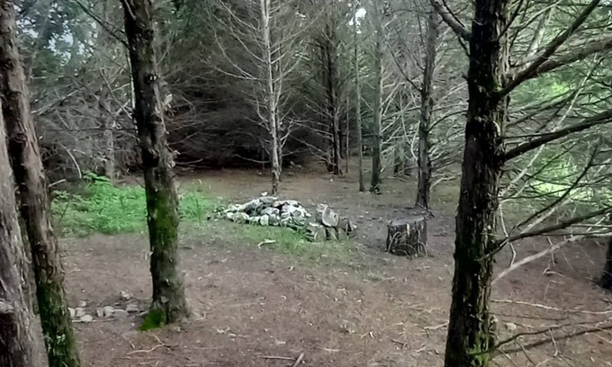 Elkland Alquiler De RV | Lonely Pine @B Berry Farms