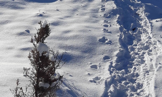 Tay Valley Chalet De Esquí | Longview: Private Hilltop Chalet on 88 Acres