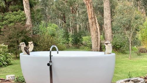 Wheatsheaf Casa | Lorien - Retreat + Outdoor Bathtub + Pets Welcome