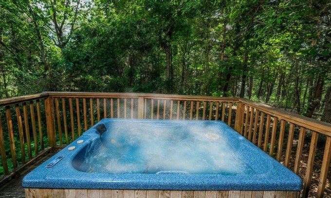 Sevierville Villa | Lorin Aleah