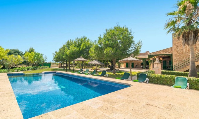 Campos Casa | Los Girasoles 4
