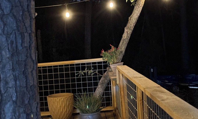 Circle D-KC Estates Cabina | Lost Pines Cabin: Near Lake Bastrop, Hiking, & 35 Mins from Austin