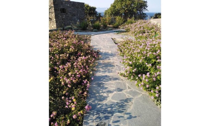 Nisyros Casa | Loutra Olive Garden Stone House #3
