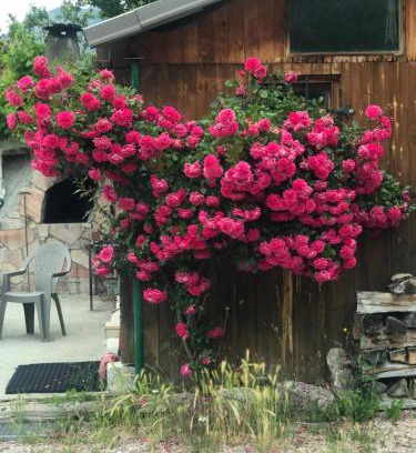 Guillestre Apartamento | LOVE ROOM Chalet des ALPES
