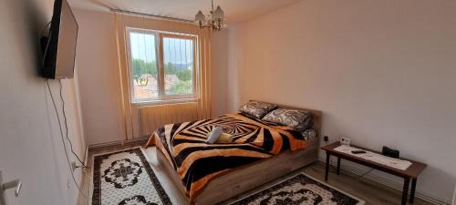 Miercurea-Ciuc Apartamento | Lovely 1 bedroom apartment in Miercurea Ciuc