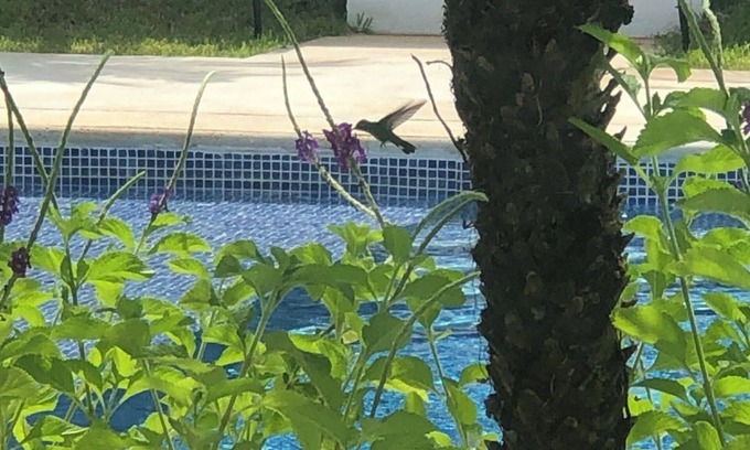 Playa Avellanas Casa | Lovely 2-bedroom house with AC in Playa Avellanas. Pura Vida at its finest.