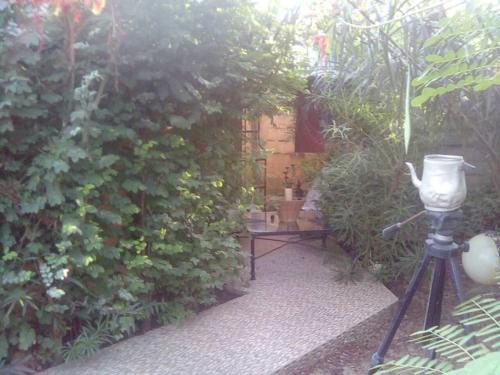 Sanyang Casa | Lovely 3-Bdrm Cottage w Private Patios Pkg Sanyang