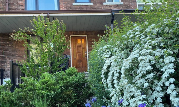 Little Italy Apartamento | Lovely 3 Bedroom house in Little Italy