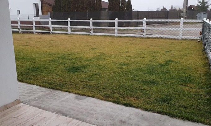 Albestii Paminteni Casa | Lovely and Cozy House Apartment with a nice yard