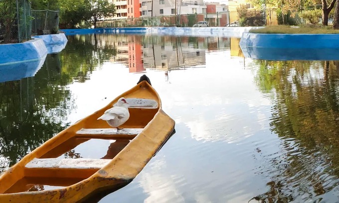 San Luis Potosí Apartamento | Lovely and spacious apartment next to the Park