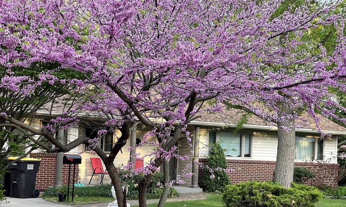 Jonesville Casa | Lovely home in quiet neighborhood