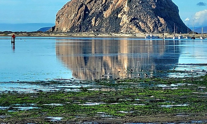 Baywood-Los Osos Casa | Cómoda casa grande de 4 dormitorios con. 15 minutos a la hermosa playa de Pismo