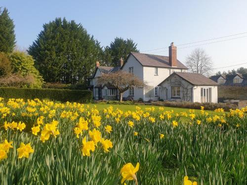 Adforton Cama Y Desayuno | Lower House B&B and Cottages, Adforton