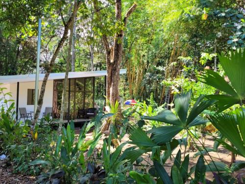 Puerto Jiménez Casa | Luba house