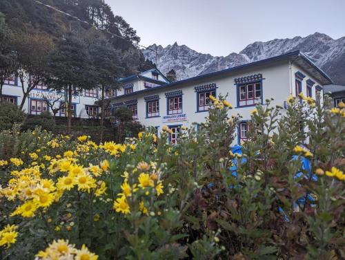 Lukla Cama Y Desayuno | Lukla Himalaya Lodge