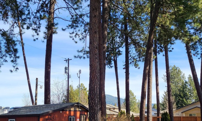 Coeur d'Alene Cabina | Lumberjack Bunkhouse...in the Heart of Coeur d'Alene, Idaho. Sleeps 8.