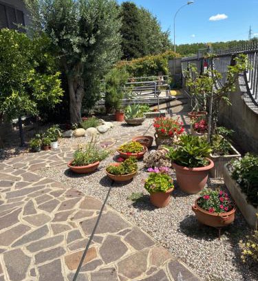 Dairago Apartamento | luna