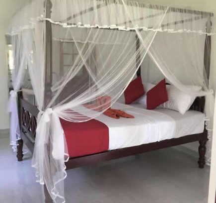 Unawatuna Casa | Lush Green Villa