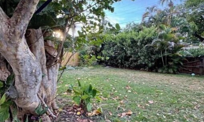 Miami Shores Casa | Lush & Peaceful tropical house