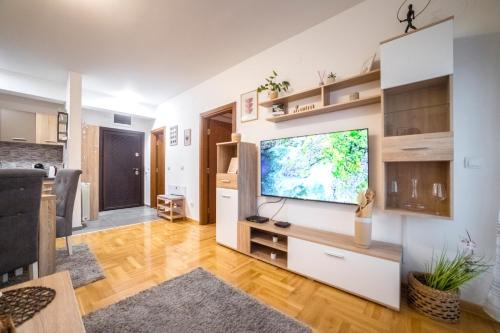 Pirot Apartamento | Lux Apartmani Rakić