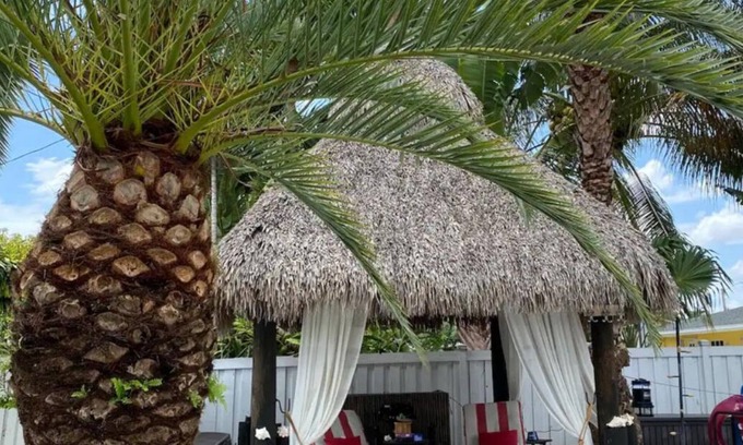 Ludlam Casa | 🌺Luxe Tropical Paradise🌺Superhost🌺Post-Op 🌺Solo & Couples Escape in Miami🌺