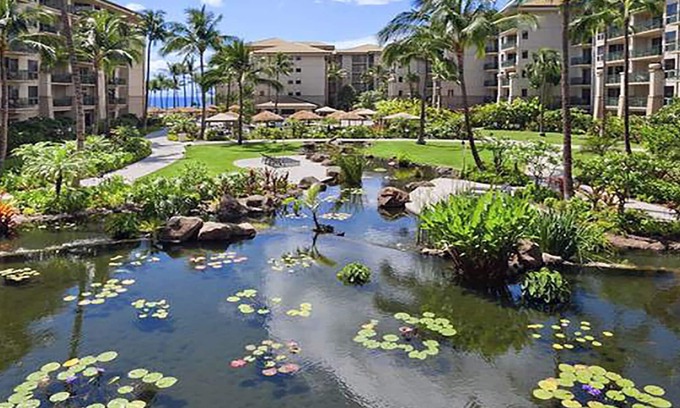 Lahaina Complejo | Luxe Westin Kaanapali Ocean Resort,Sleep 4, full resort access. STEEP DISCOUNT !