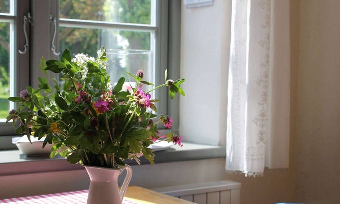 Steffenshagen Apartamento | Apartamento de lujo en Steffenshagen con chimenea