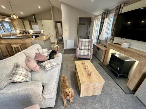 Newquay Apartamento | Luxury 3 bedroom Maple View Lodge, Newquay, Cornwall