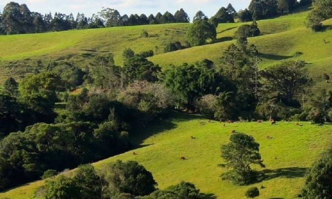 Montville Cama Y Desayuno | Luxury Accommodation - Lewis