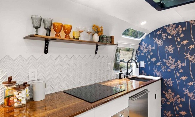 Pisgah Forest Casa | Luxury Airstream w/ hot tub, king bed, & grill