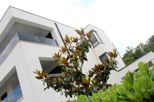 Vantacici Apartamento | Luxury apartments Aronia