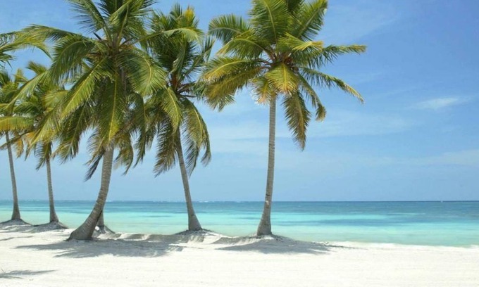 Punta Cana Apartamento | Luxury Apartments Bello