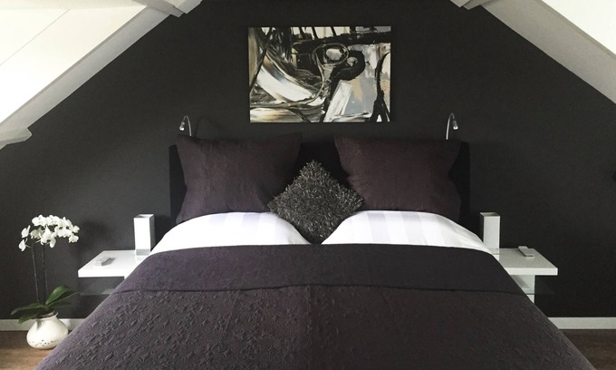 Hoofddorp Cama Y Desayuno | ático de lujo con cocina, baño, ducha, desayuno y Netflix cerca de Schiphol