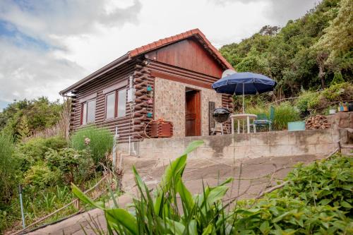 Glentana Apartamento | Luxury Cabin - Bachelor's Haven