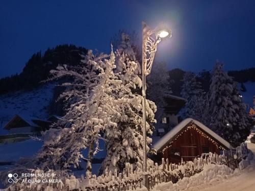 Penia Apartamento | Luxury Chalet Orchidea