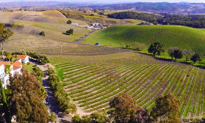 Templeton Casa | Luxury Estate in California Wine Country