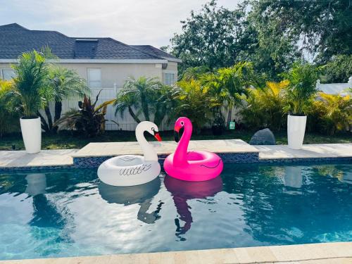 Sabal Harbour Casa | Luxury Home W Heated PoolNear IMG & Siesta Key Beach