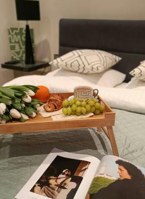 Czestochowa Apartamento | Luxury Room Well Located